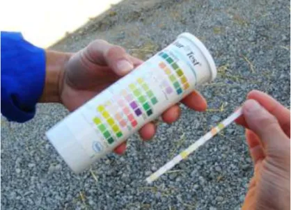 Figura 2- Fita de urina (Combur-test ®  strips, Roche)  utilizada para a testagem qualitativa de  cetonúria e acidúria em cabras suspeitas de toxémia de gestação