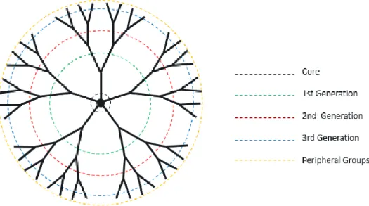 Figure 1.3 Schematic illustration of a third-generation dendrimer. Broken lines  represent dendrimer’s components (core, generations, and peripheral groups)