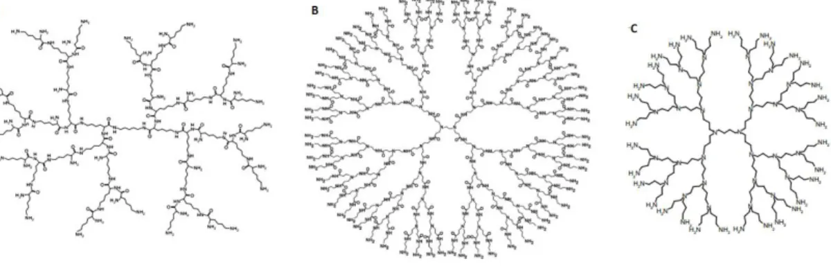 Figure 1.5 Chemical structure of selected dendrimers: (A) Second generation PLL 95 , (B) fourth  generation PAMAM 97  and (C) fourth generation poly(propylene imine) (PPI) 99  dendrimer.