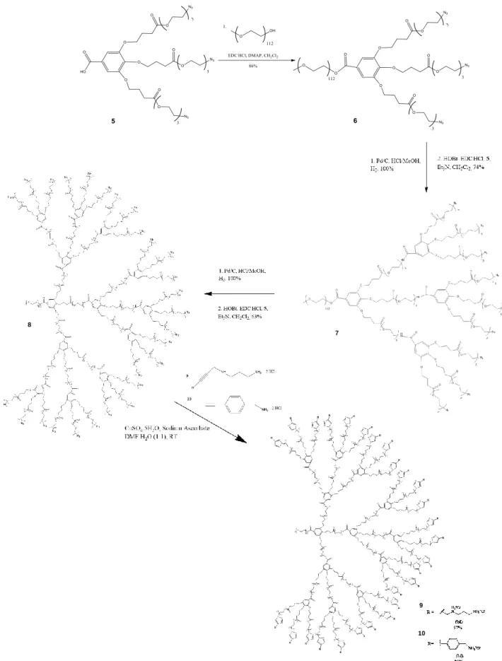 Figure  4.8  Synthesis  of  fully  biodegradable  PEG-GATGE  dendrimer  upon  G3.  Synthesis  of  first- first-generation (G1) dendrimer (6), b) second-first-generation (G2) dendrimer (7), the final fully biodegradable  third-generation  (G3)  dendrimer  (