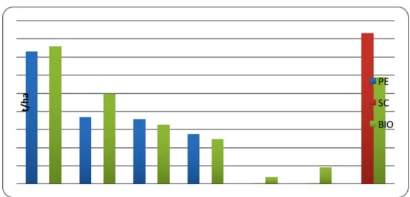Figura  2  –  Produtividade  de  alface  no  Brasil  cultivado  em  canteiros  com  polietileno  (PE), sem cobertura e Agrobiofilm (BIO), sem diferenças significativas estatisticamente  entre o BIO e o PE mas estes estatisticamente diferentes do SC a 5% de