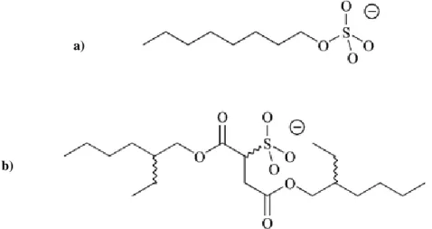 Figura 4 – a) anião octilsulfato; b) anião docusato 