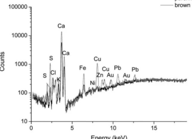 FIG. 8. Comparison of the EDXRF spectra of parchment and brown area.