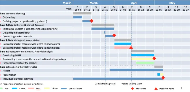 Figure 1: New International Market and Features Strategy for Liunian - Project Plan 