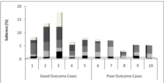 Figure 1. Successful and unsuccessful cases in narrative therapy. 