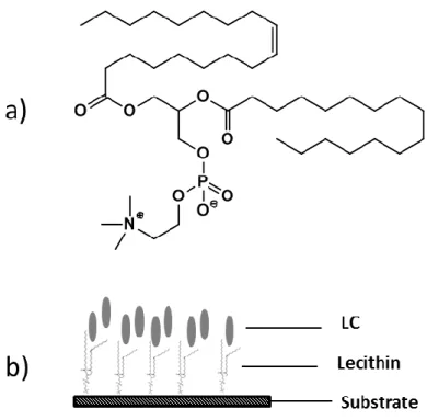 Figure  1.14–  Schematic  illustration  of  homeotropic  alignment  using  lecithin:  a)  chemical  structure  of  lecithin and b) homeotropic alignment using lecithin (adapted from  2 )