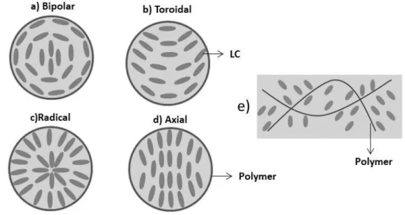 Figure 1.24– Schematic illustration of the liquid crystal director configuration inside spherical domains (left)  and (adapted from 12 ) and irregular domains (right)