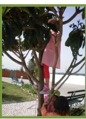 Figura 6 - Criança a trepar a  uma árvore