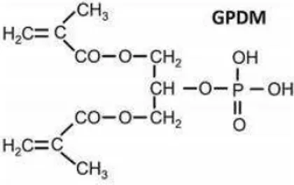 Figura 4  –  Estrrutura molecular do monómero GPDM (Adaptado de Yoshihara, 2018). 