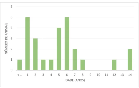 Gráfico 1 Distribuição de Idades da Amostra 