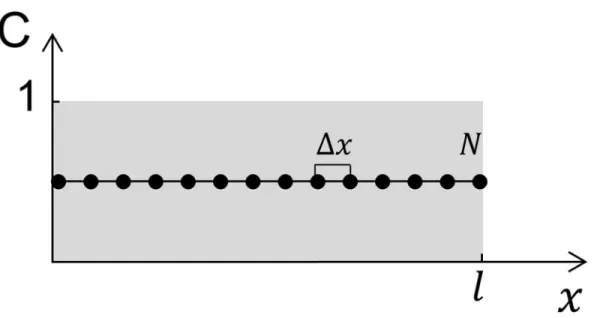 Fig 2. Schematics of the implementation of the diffusion model for a homogeneous lens initially loaded with a homogeneous normalized unitary concentration of drug C t¼0 k , where k = [1, N − 2].