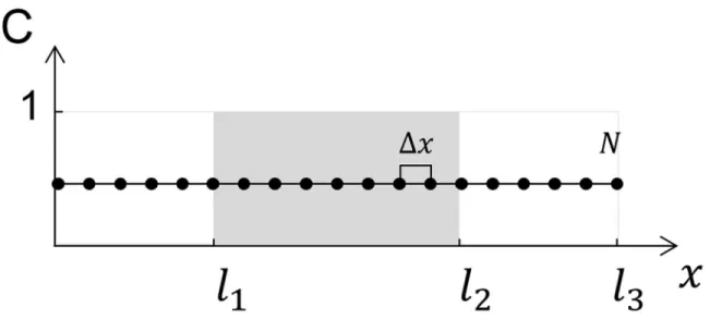 Fig 4. Schematics of the implementation of the diffusion model for a homogeneous drug-loaded lens initially loaded with a homogeneous normalized unitary concentration, C t¼0 k , and coated on both sides with a non-loaded diffusion barrier.