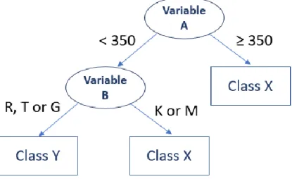 Figure 2.5 - Example of a Decision Tree 