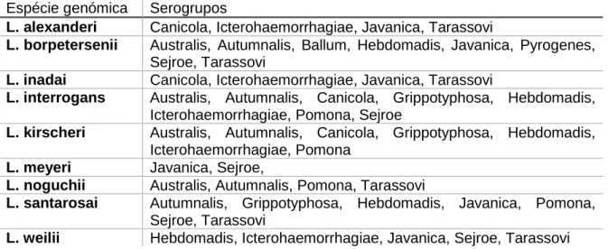 Tabela 2 - Algumas espécies genómicas de Leptospira e distribuição de serogrupos (adaptado  de Levett, 2001)