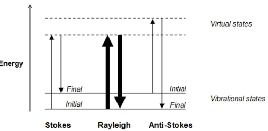 Figure 3.2 Energy level diagram for Rayleigh and Raman scattering processes. Modified from (Kaiser Optical Systems,  2004)