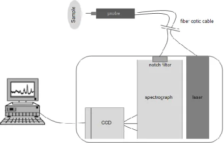 Figure 3.3 An overview of the elements of a dispersive CCD Raman instrument. Modified from (Lotte Boge Lyndgaard,  2013)