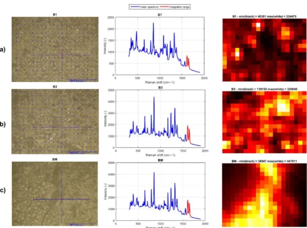 Figure 3.7 Microscopic imaging measurements obtained from Raman microprobe combined with MK II probe from  Kaiser Optical Systems
