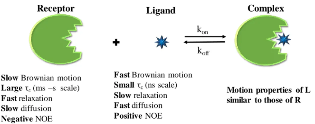 Figure 1.5  - Illustration of the changes in different physical properties when a small  ligand interacts with a large protein