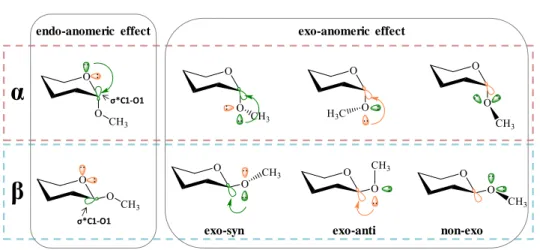 Figure 1.9 - Schematic representation of the lone pair-σ* interactions responsible  for  the  endo-  or  exo-anomeric  effects  in  α-  and  β-  glycosides