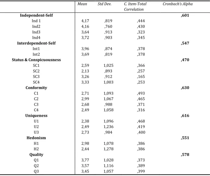 Table 2: Scale Analysis