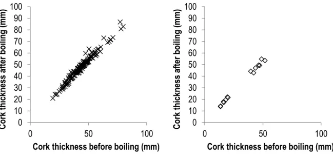 Figure 7: Relationship between cork thickness after and before boiling in mm: x, cork with 13 years (left) and ◊, with 8 years (right)