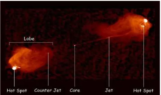 Figura  2.3:  Imagem  de  Cygnus  A  com  indicação  dos  seus  constituintes.  (Fonte: 