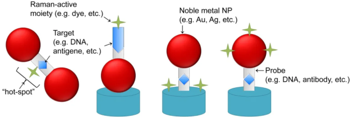Figure 2. Examples of different variations of cross-linking approaches for SERS. The  schematics depicts different approaches to the use of Raman-active moieties to enhance  SERS signal output via cross-linking strategies: the Raman-active moiety can be bo