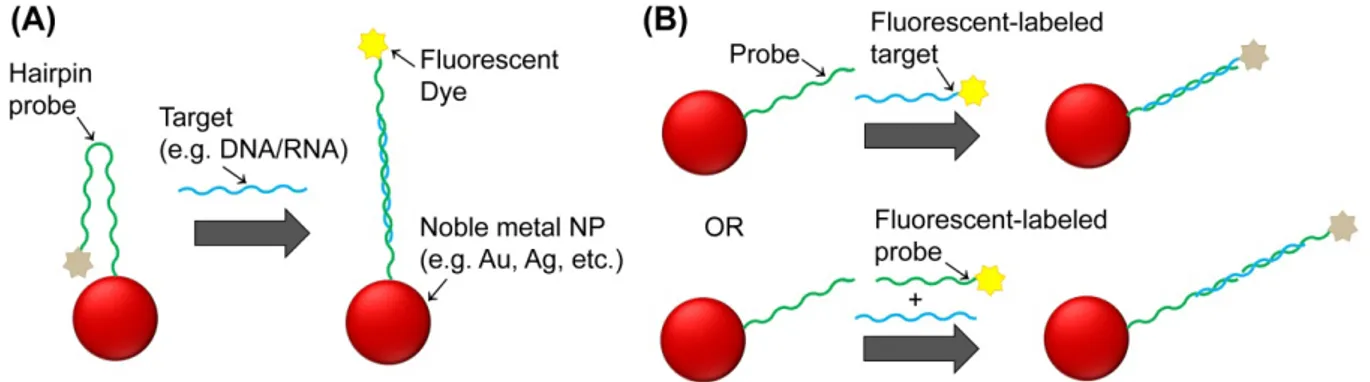 Figure 3. Different approaches for fluorescent-based noble metal NPs biosensing.  