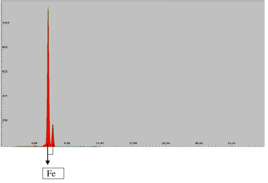 Gráfico 2 - - Resultado da análise por EDXRF do elemento metálico Escápula e Olhal. 