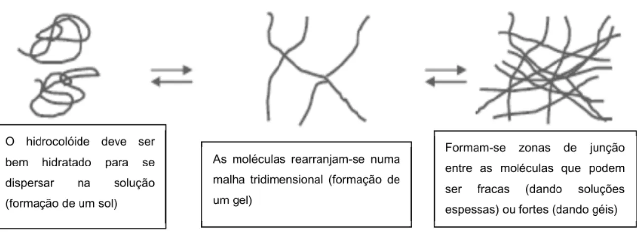 Figura 11: Etapas de formação de um gel.   Fonte: Phillips e Williams (2009) 