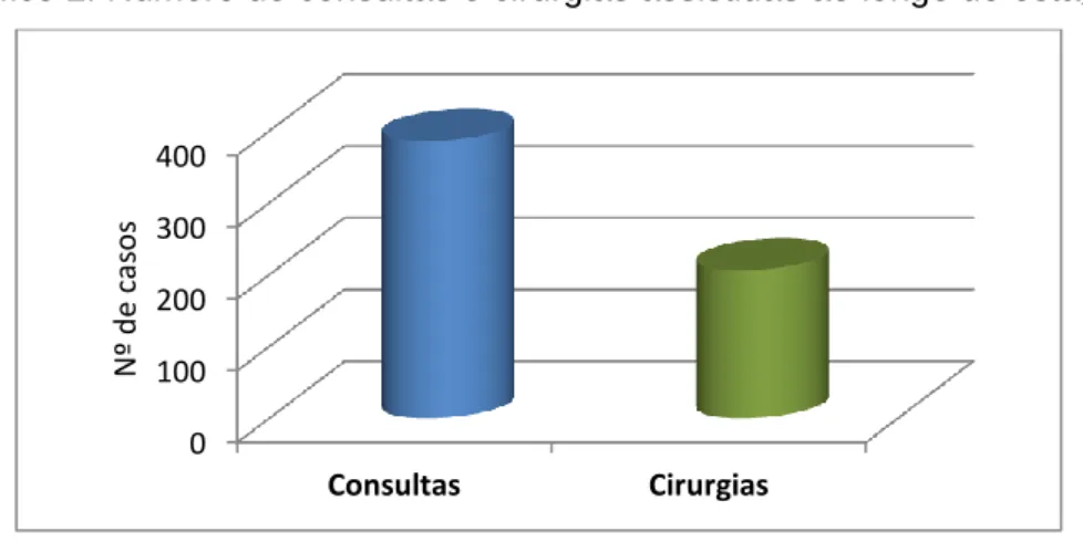 Gráfico 2. Número de consultas e cirurgias assistidas ao longo do estágio. 