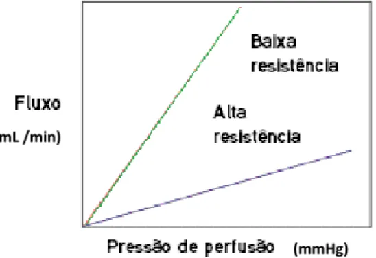 Gráfico 4. Relação entre o fluxo e a pressão de perfusão em condições de fluxo laminar  (adaptado de Klabunde, 2007)