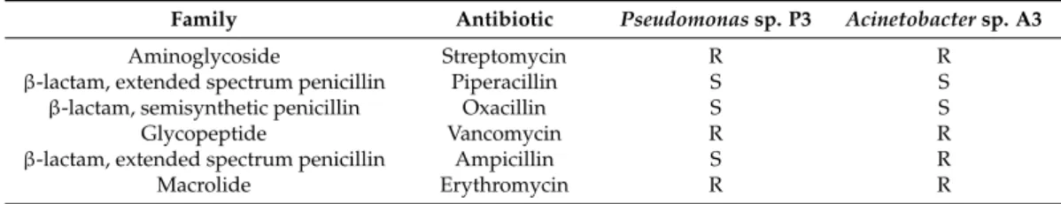 Table 6. Antibiotic sensitivities of the isolated bacteria.