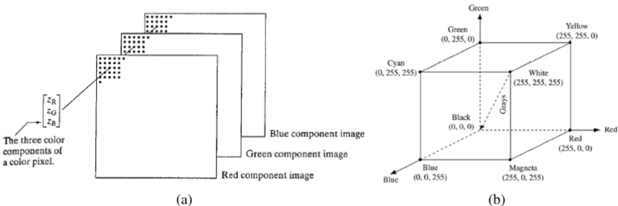 Figura 3.1: a) Composição de um pixel numa imagem RGB (retirado de Gonzalez (2004)).