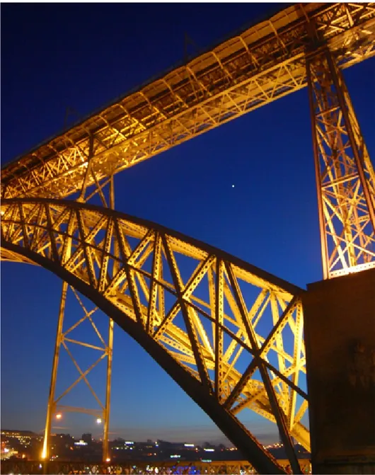 Figura 3. Puente Luis I. Oporto. Autor: Pietro Viscomi. Enero 2017. 
