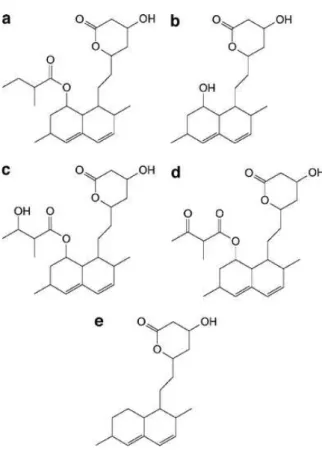 Figura 8: Representação química das monacolinas: monacolina K (a), monacolina J (b), monacolina M  (c), monacolina X (d) e monacolina L (e) (Lin Y