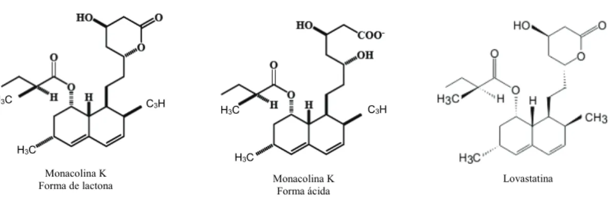 Figura 9: Representação química da monacolina K e da lovastatina  (Sabry, 2015) 