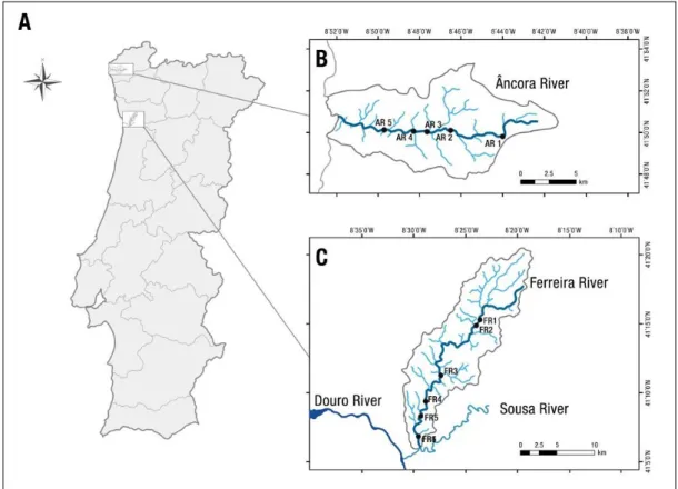 Fig.  8.  Geographical  situation.  (A)  Location  of  the  hydrographic  basins  of  River  Âncora,  B,  and  River  Ferreira,  C  (rectangles),  in  Portugal  mainland;  (B)  Map  of  the  hydrographic  basin  of  the  Âncora  River  and  the  distributi