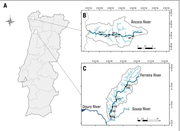 Fig.  1.  Geographical  situation.  (A)  Location  of  the  hydrographic  basins  of  River  Âncora,  B,  and  River  Ferreira,  C  (rectangles), in Portugal mainland; (B) Details of the hydrographic basin of the Âncora River and the distribution of the  s