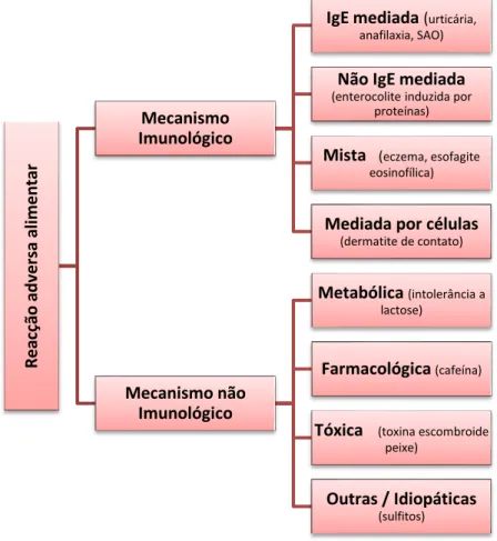 Fig. 1 – Esquema da classificação de reações adversas a alimentos [16, 17]