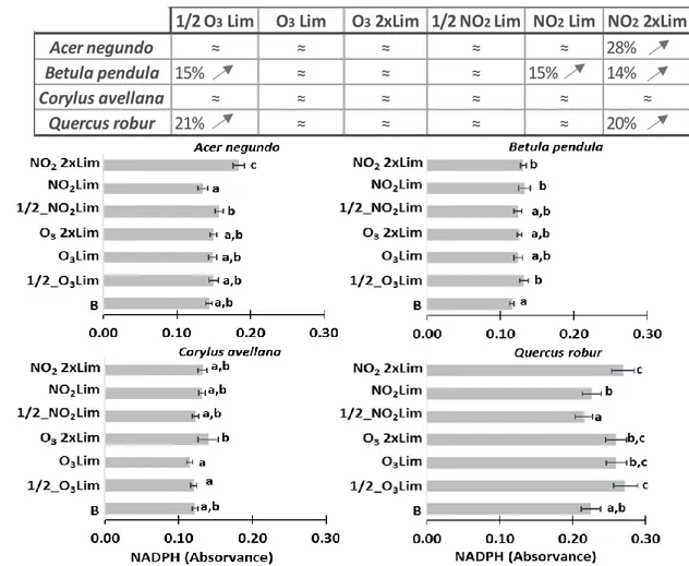 Figure 4. Average and standard deviation in pollen NADPH oxidase enzymatic activity in A