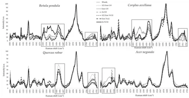 Figure 6. Average Raman spectra of A. negundo, B. pendula, C. avellana and Q. robur pollen, exposed 