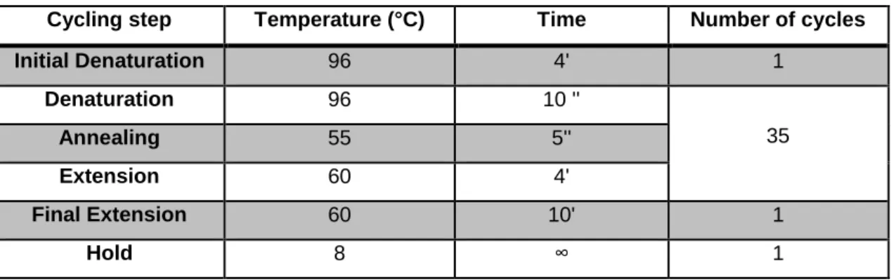 Table 4. Thermal cycler conditions for the sequencing reaction 