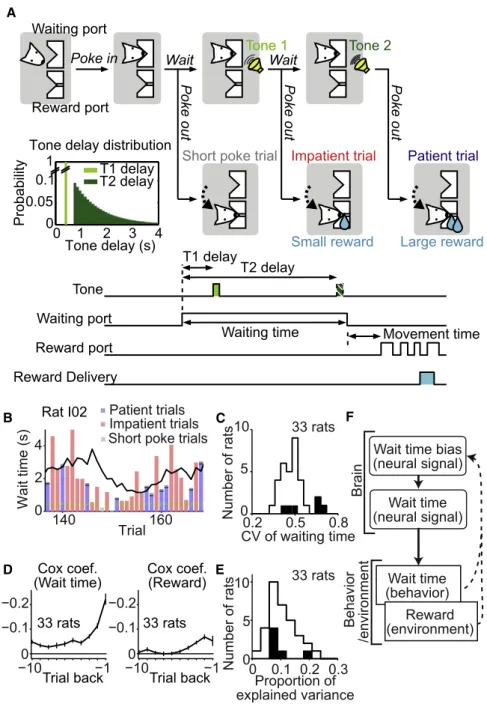 Figure 1. Two-Stage Decision Model for a Waiting Task