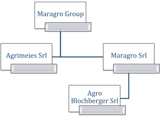 Fig. 3 Group Structure 