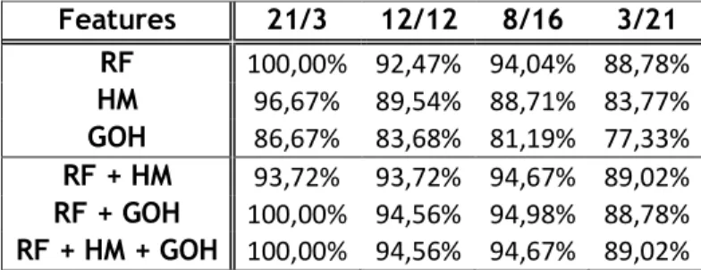 Table 5.1 - Naïve Bayes accuracies to Triesch dataset with segmentation level 1. 