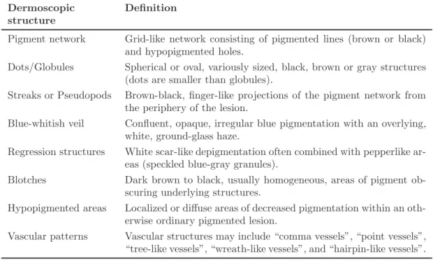 Table 2.1: Definition of some dermoscopic structures that are used in the diagnosis of melanocytic lesions (Adapted from [2, 50]).