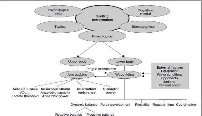 Figura 1 - Diagrama esquemático dos aspectos fisiológicos relevantes para a prática do  Surf (adaptado de Mendez-Villanueva, 2005) 