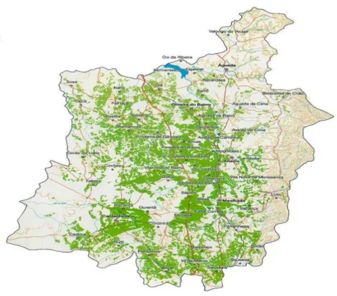 Figura 8 - Mapa vitícola da Região da Bairrada – CVB (1991) 