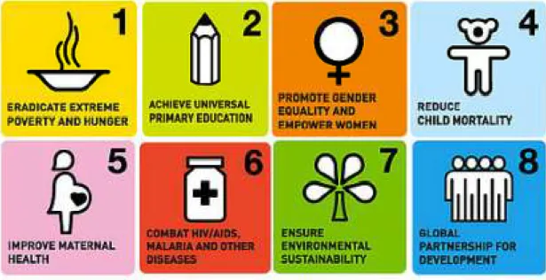 Figure 3 - Millennium Development Goals  